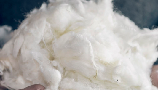 Discovering the Benefits of Wool: Why It's Ideal for Footwear